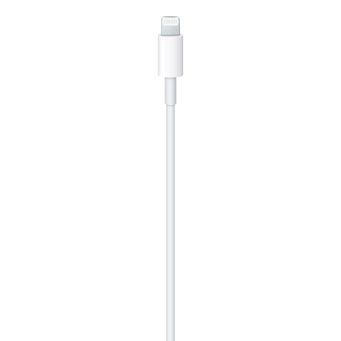 USB-C to Lightning Cable (1 m) photo 3